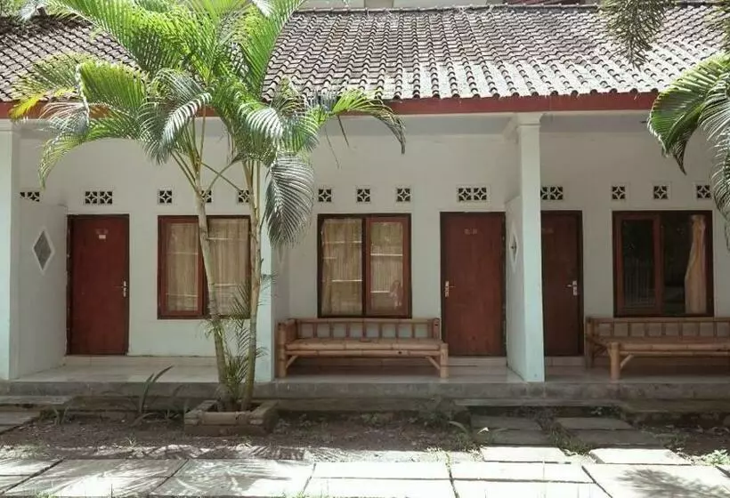 Indonesia Backpacker Hostels