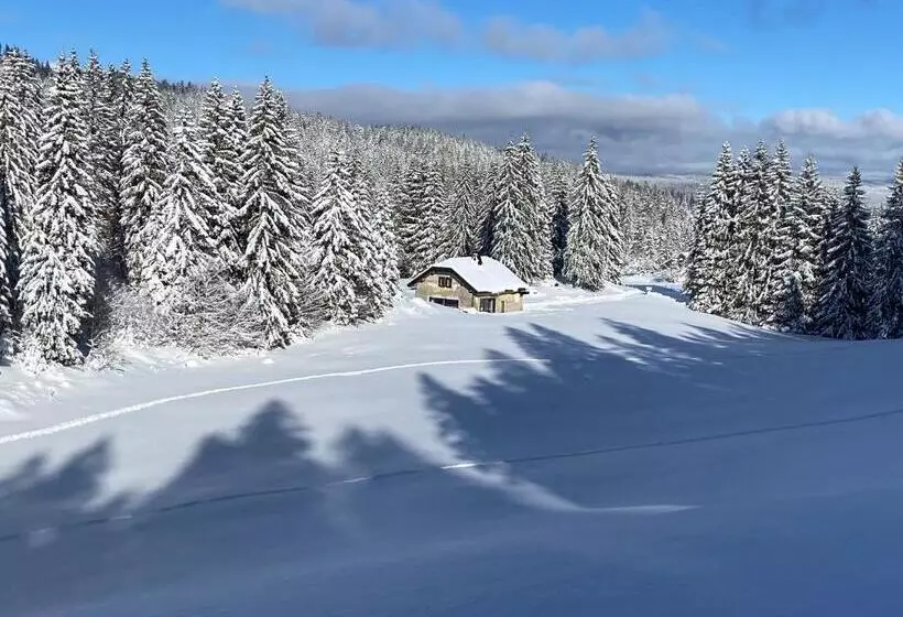 ペンション La Loge De La Dolarde  Chambre Nordest