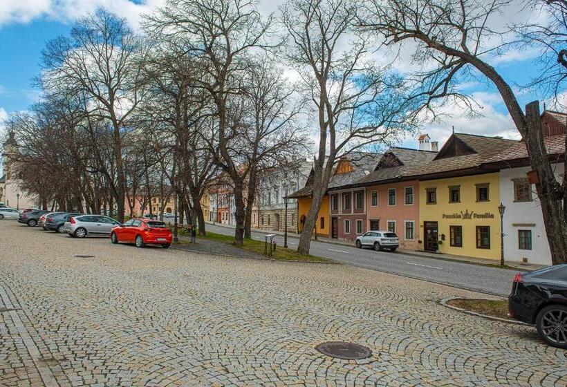 膳宿费 Penzión Familia