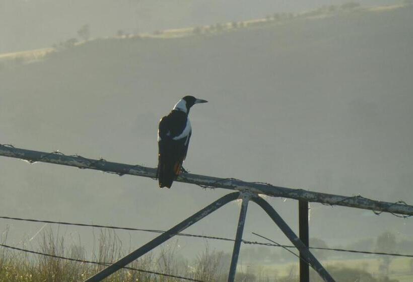 펜션 Wattle Tree Hill