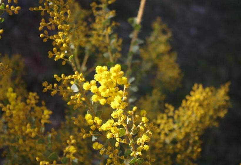 펜션 Wattle Tree Hill