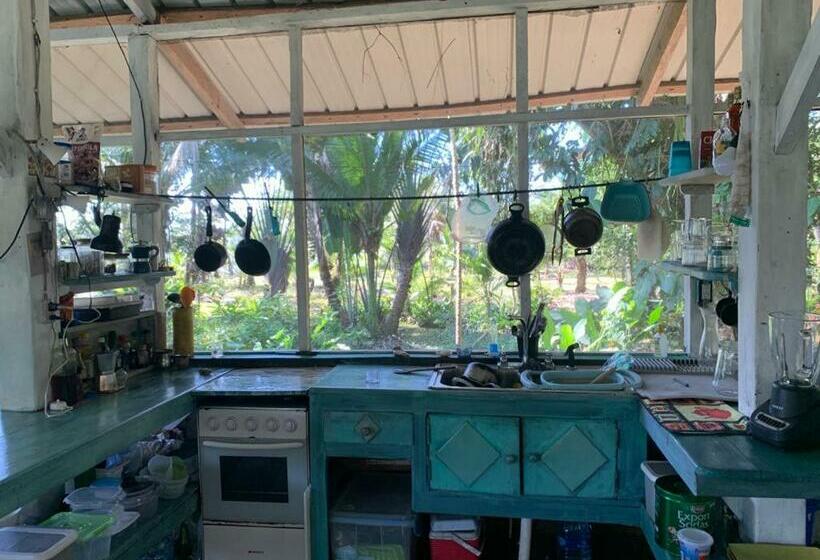 مبيت وإفطار Finca Coco Nuts