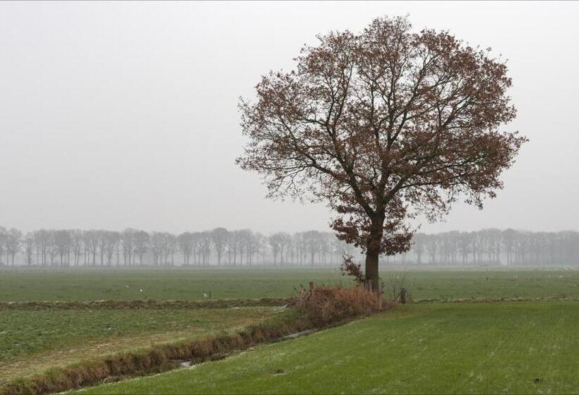 住宿加早餐  Villa Grace