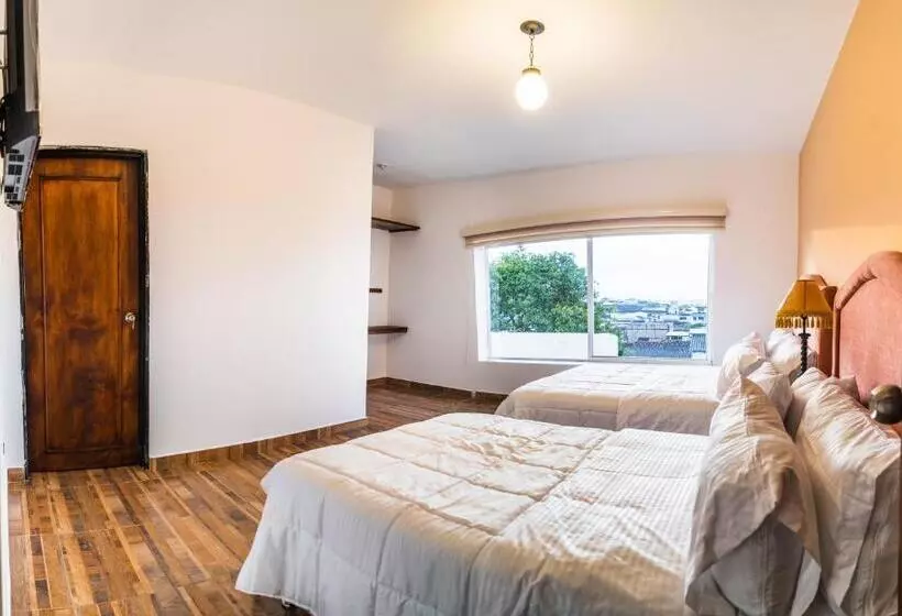 Casa Loma Hotel Boutique & Terraza Gastro