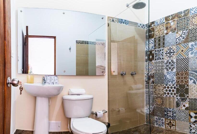 Casa Loma Hotel Boutique & Terraza Gastro