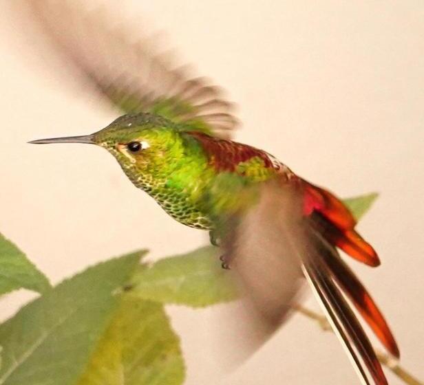 هتل Maktub Alta Gracia, Complejo Para Turistas