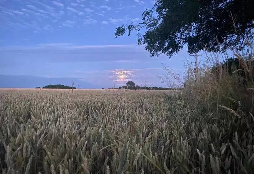 Hotelli Wellbet Farm