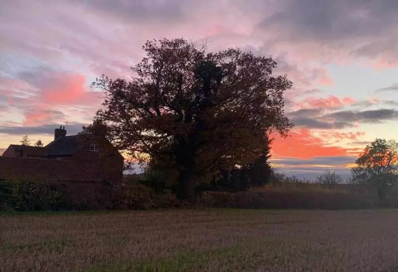 Hotelli Wellbet Farm