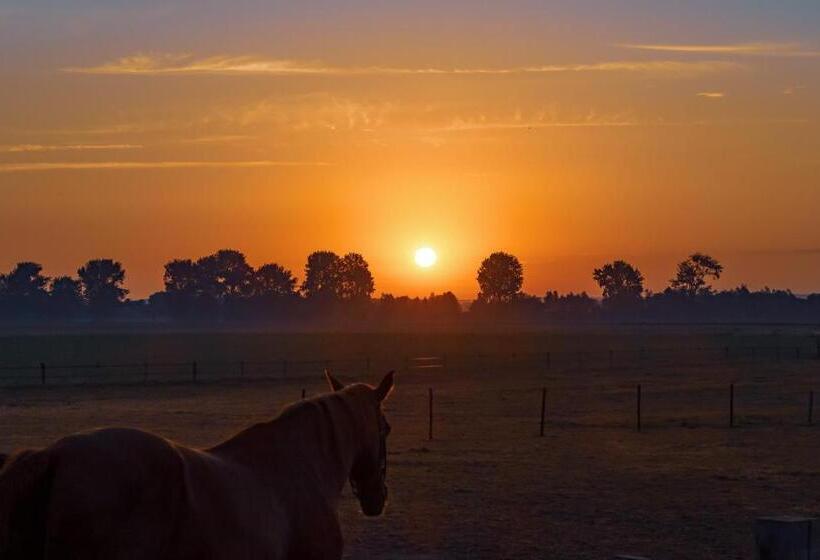 פנסיון Gastenverblijf Bie Zus