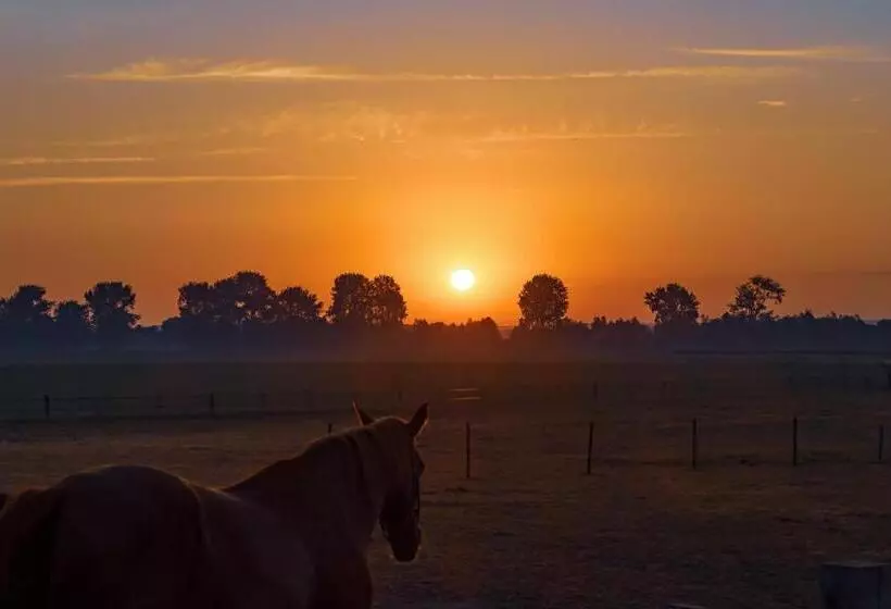Majatalo Gastenverblijf Bie Zus