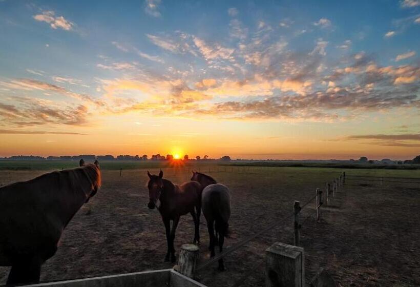 פנסיון Gastenverblijf Bie Zus