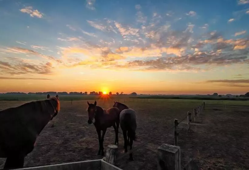 Majatalo Gastenverblijf Bie Zus
