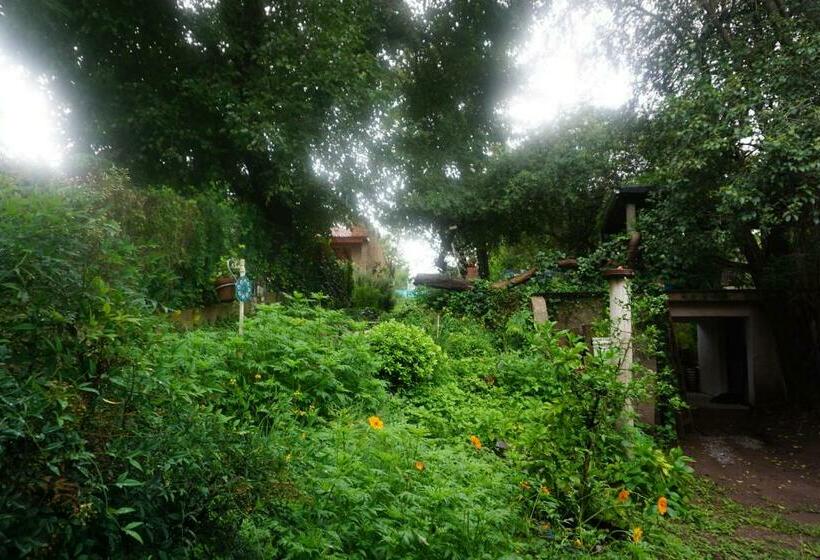 膳宿费 La Posta San Fernando