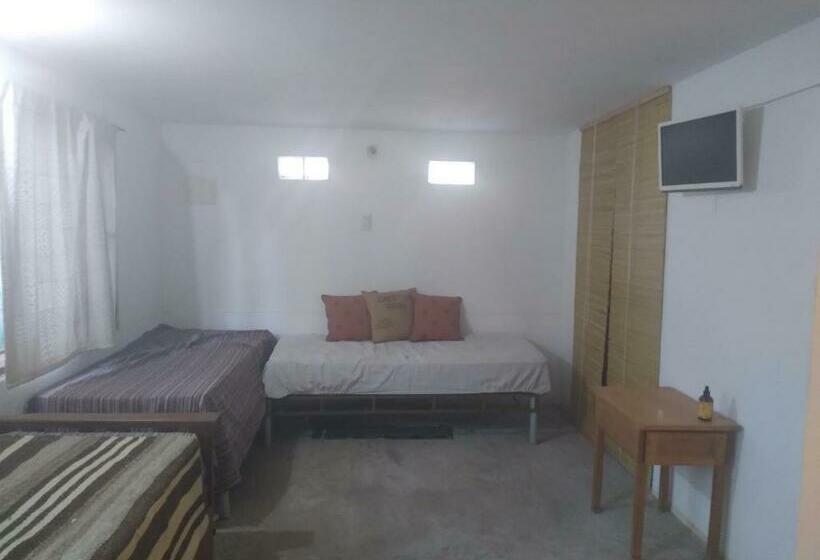 膳宿费 La Posta San Fernando