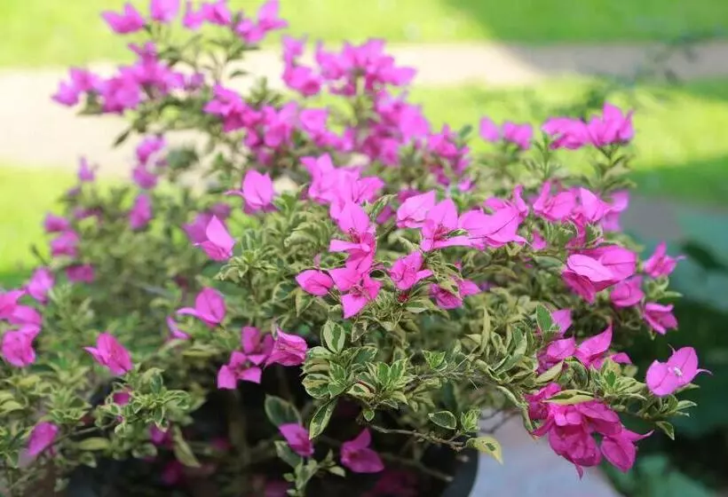 Majatalo Sunil Lanka