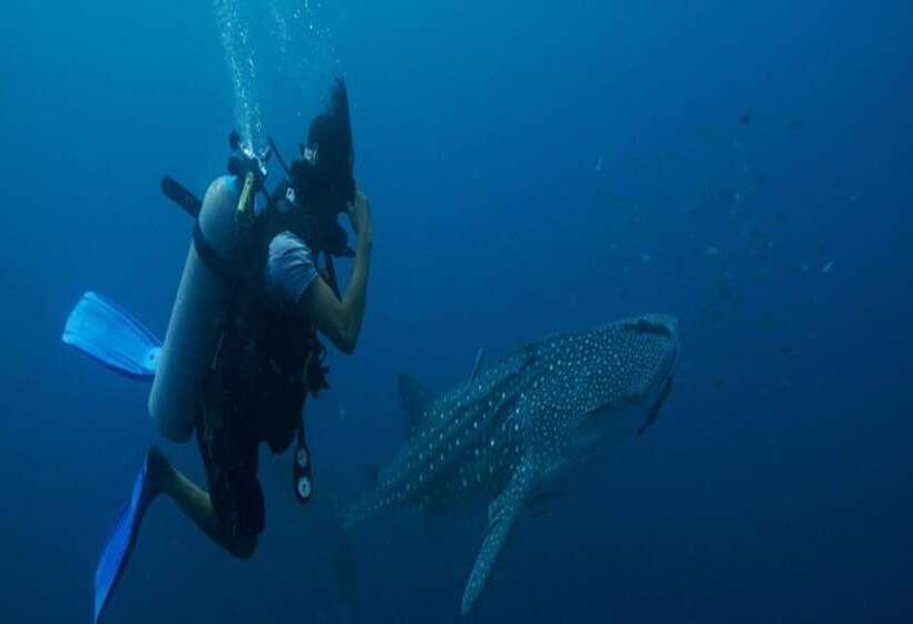 Ban S Diving Resort Sha Extra Plus