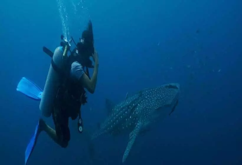 Ban S Diving Resort Sha Extra Plus