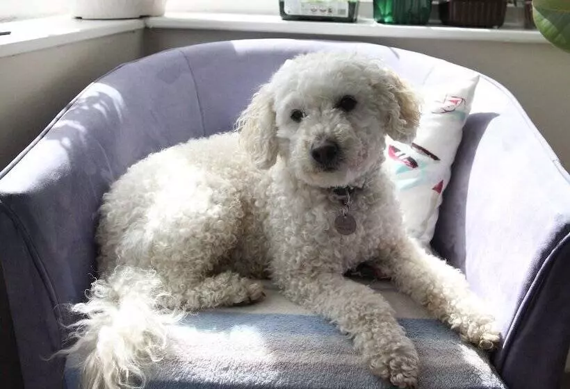 Bed and Breakfast Summer Breeze