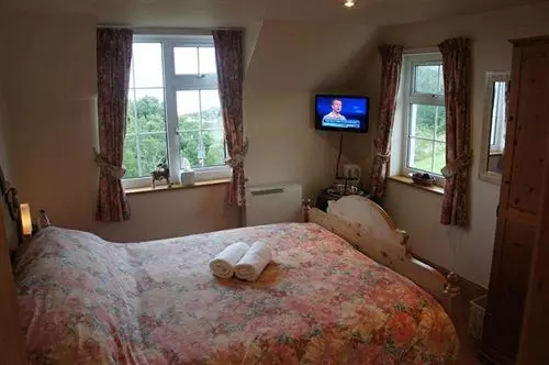 Bryn Goleu Bed & Breakfast