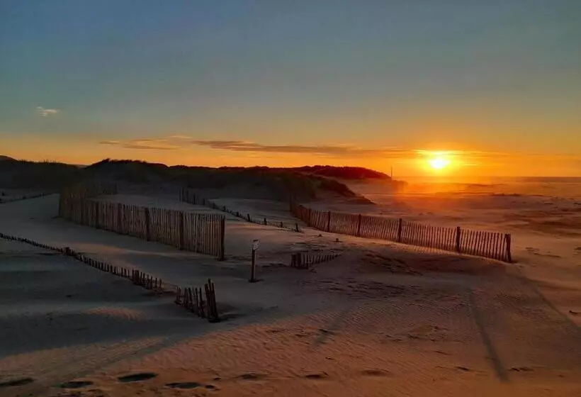 Bryn Melyn Apartments