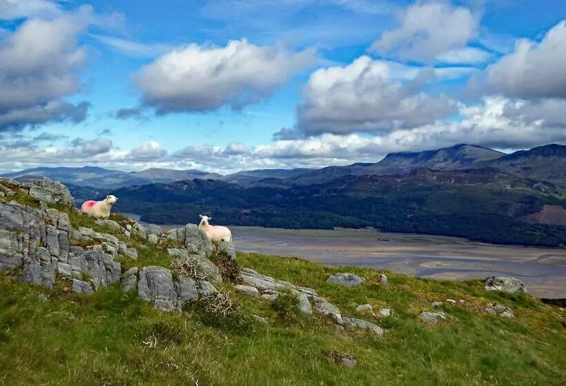 Bryn Melyn Apartments