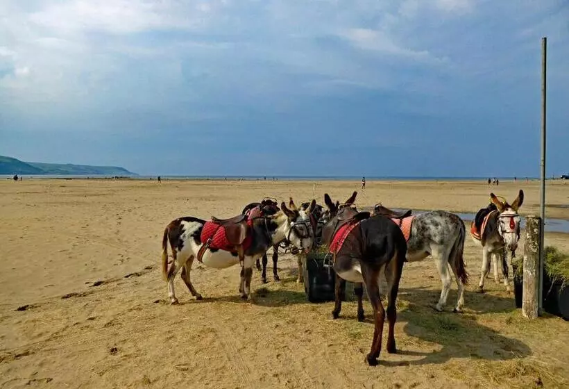 Bryn Melyn Apartments