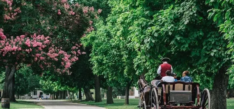 Cedars Of Williamsburg Bed & Breakfast