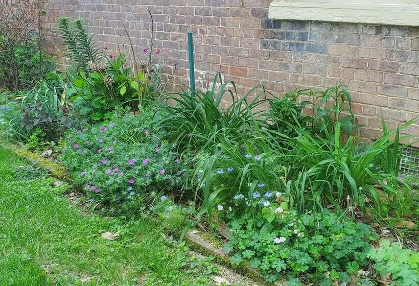 Hall Place Bed And Breakfast