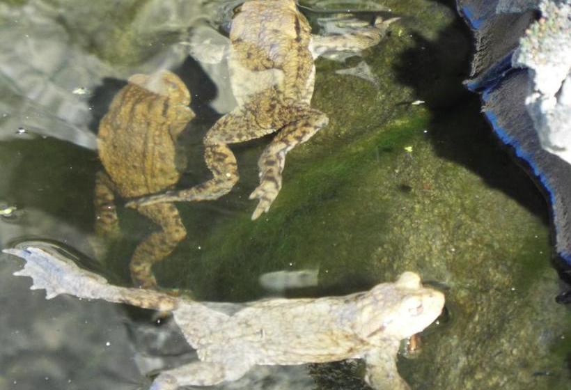 住宿加早餐 Homelands Apartment