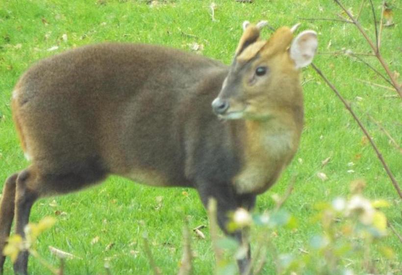住宿加早餐 Homelands Apartment