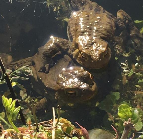 住宿加早餐 Homelands Apartment