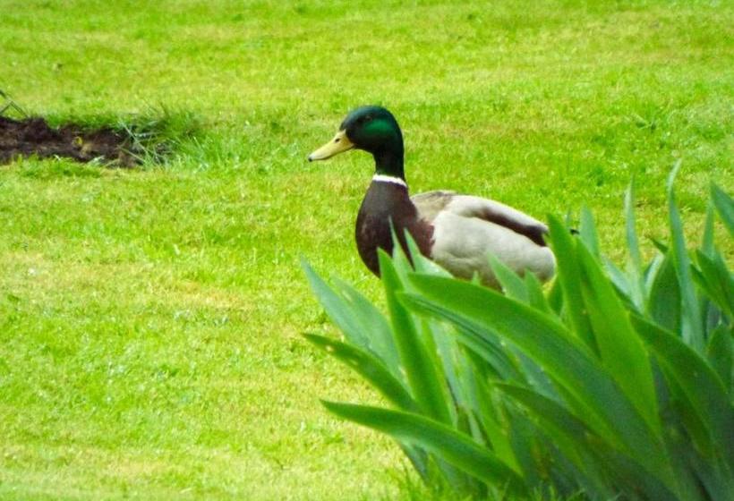 住宿加早餐 Homelands Apartment