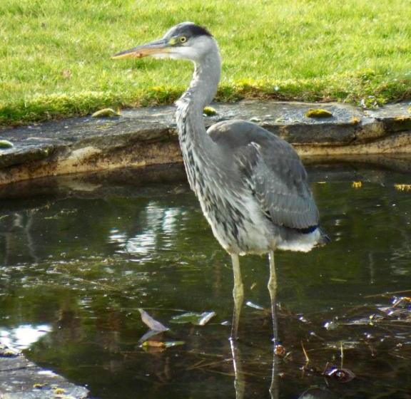 住宿加早餐 Homelands Apartment