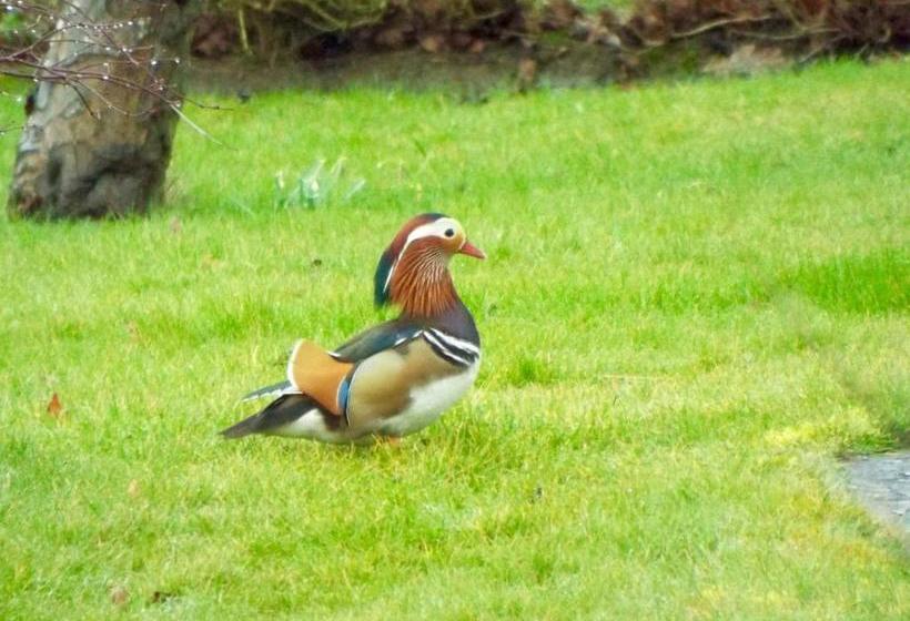 住宿加早餐 Homelands Apartment