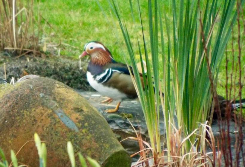 住宿加早餐 Homelands Apartment