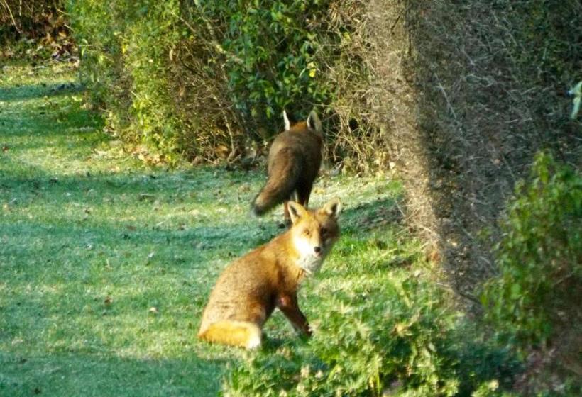 住宿加早餐 Homelands Apartment