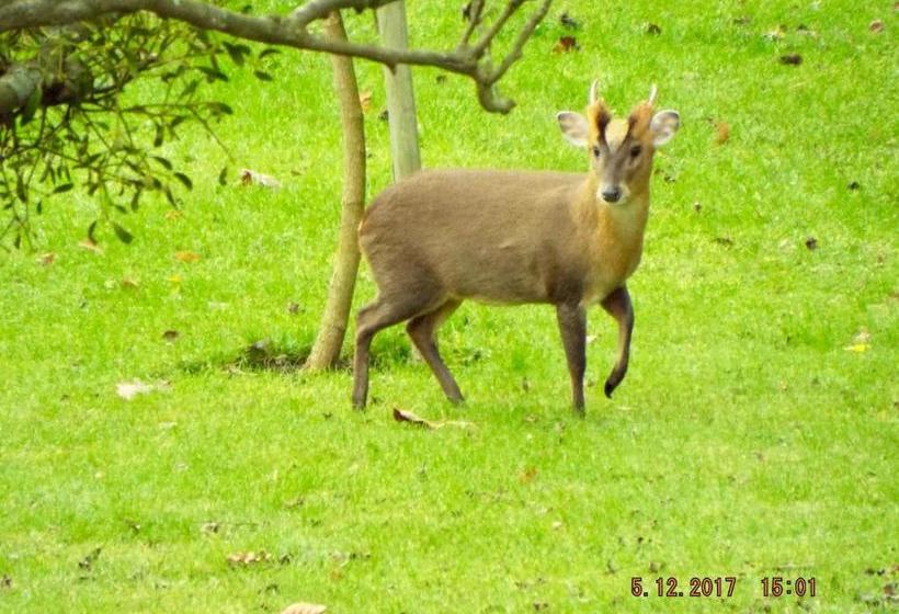 住宿加早餐 Homelands Apartment