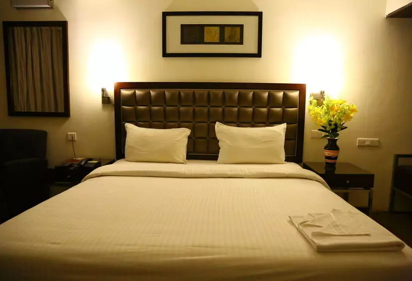 فندق Anand Regency