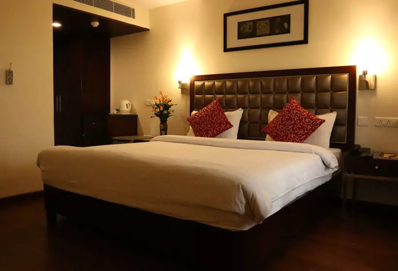 فندق Anand Regency