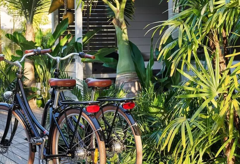 酒店 Atlantic Byron Bay