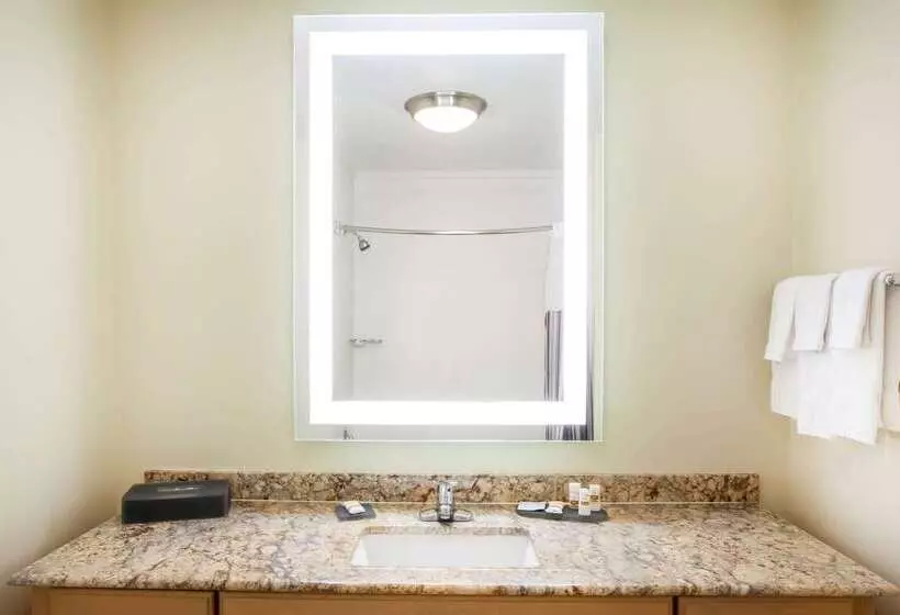 فندق La Quinta By Wyndham Odessa North