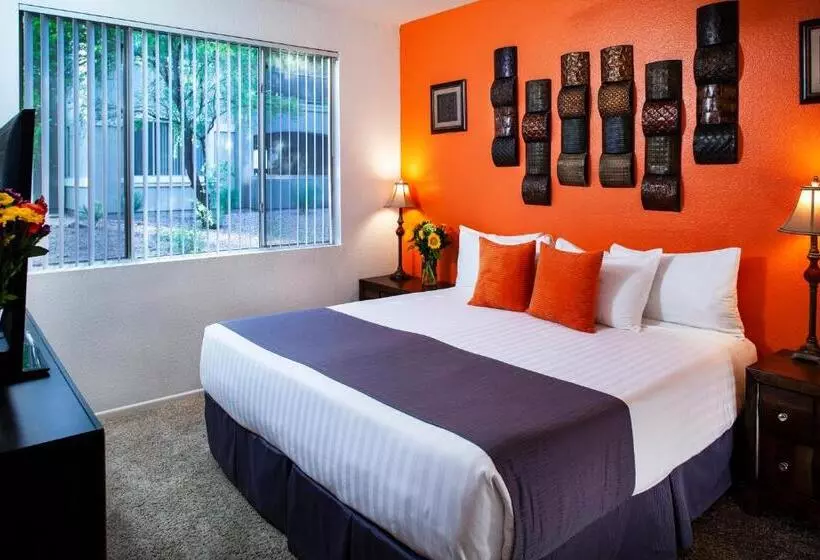 Hotelli Luxury Condos By Meridian Condoresorts  Scottsdale