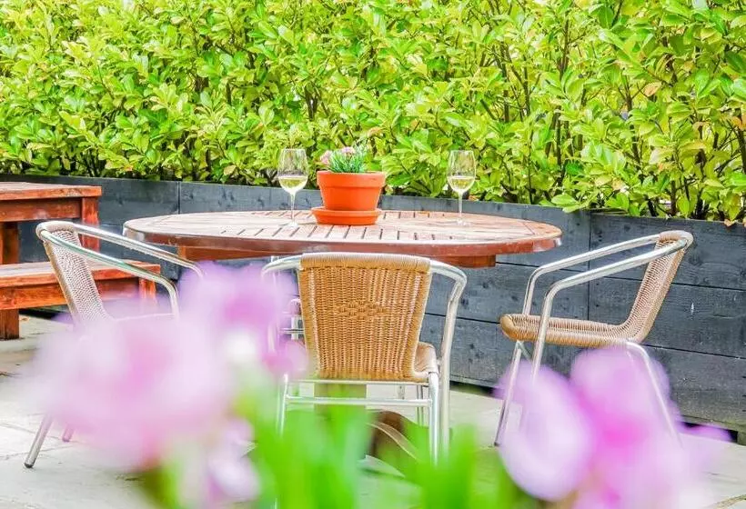 Отель Oak Tree Inn