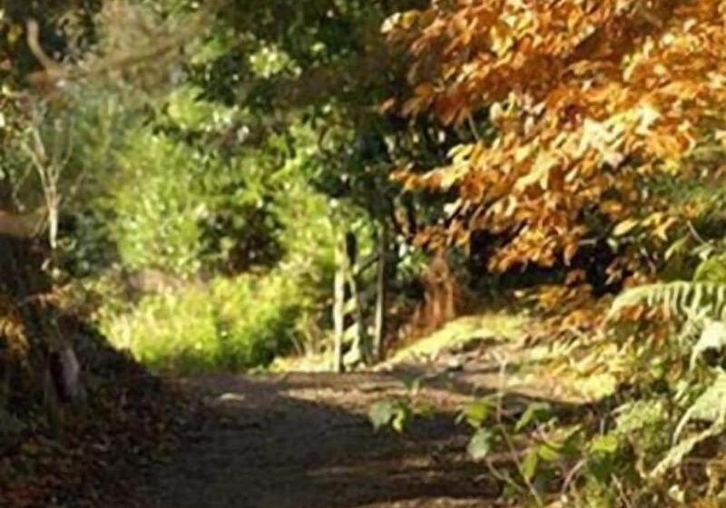 ホテル Tarr Farm Inn