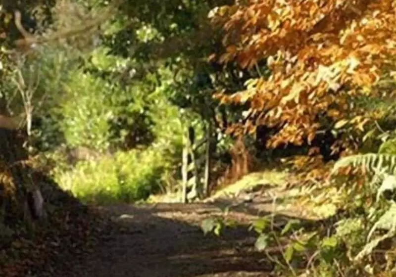 호텔 Tarr Farm Inn