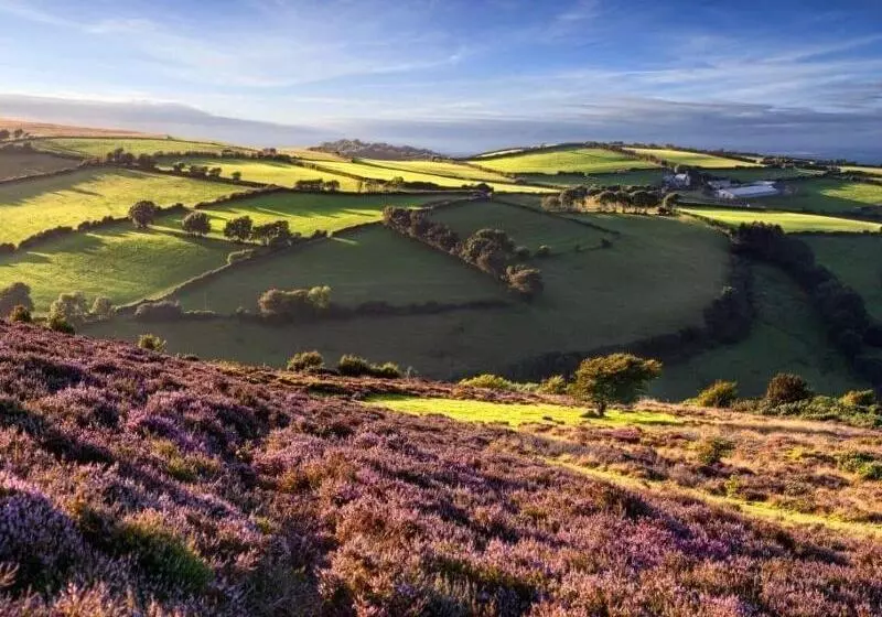 호텔 Tarr Farm Inn