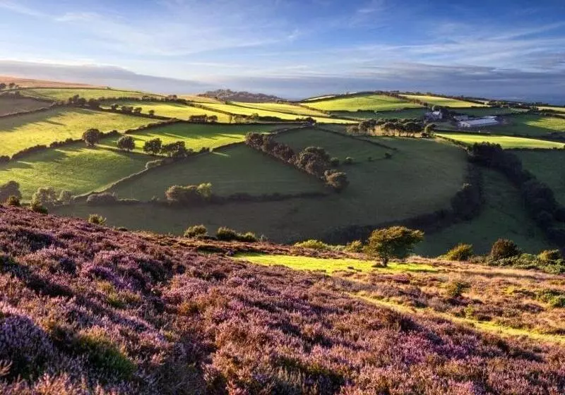 호텔 Tarr Farm Inn