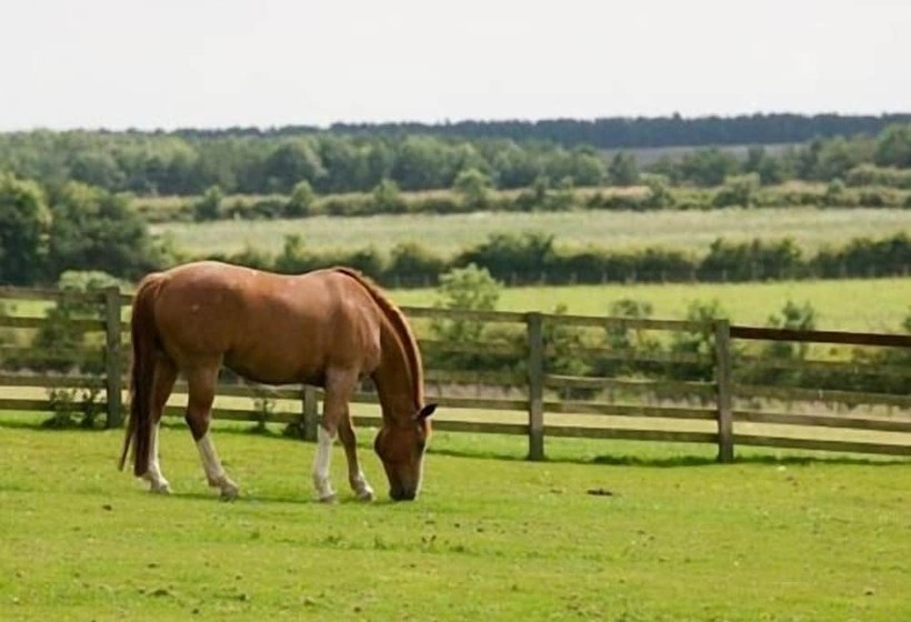 Hotel The Cook And Barker Inn