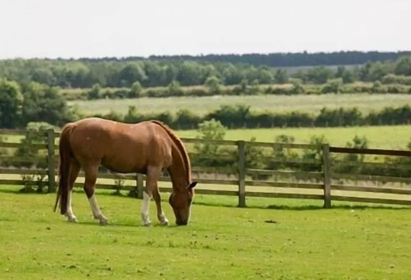 ホテル The Cook And Barker Inn