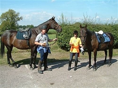 Отель The Egerton Arms Country Inn